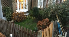 41 Amity Grove 2 before