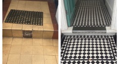 Airedale-before-and-after-1