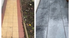 Airedale-before-and-after