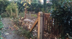 Putney Before