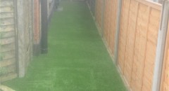 Fieldhouse-2-2